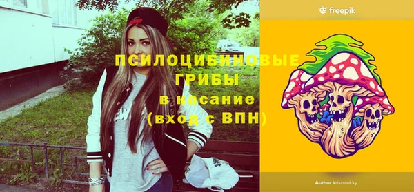 соль ск Балахна
